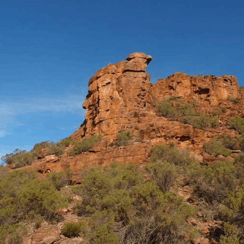 I want wild dog hill